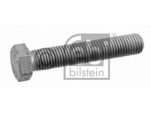 FEBI BILSTEIN 09759 varžtas
140 990 43 01, 308676 012018