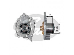 GATES WP0063 vandens siurblys
MW30620725, 4408028, 4449049, 91159773