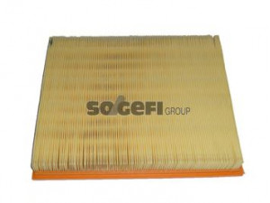 FRAM CA8821 oro filtras 
 Techninės priežiūros dalys -> Techninės priežiūros intervalai
J1321046, 1654600QAC, 7701044595