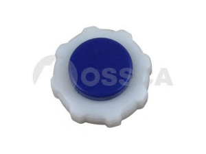 OSSCA 05854 dangtelis, radiatorius 
 Aušinimo sistema -> Radiatorius/alyvos aušintuvas -> Išsiplėtimo bakelis, variklio aušinimo skystis
77 00 805 032