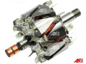 AS-PL AR6009 rotorius, kintamosios srovės generatorius