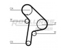 ROULUNDS RUBBER RR1160 paskirstymo diržas 
 Techninės priežiūros dalys -> Papildomas remontas
081688, 0816C1, 081688, 0816C1