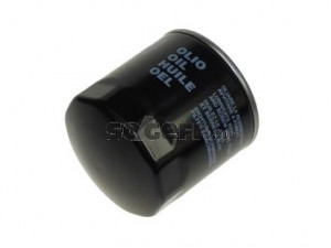 TECNOCAR R171 alyvos filtras 
 Techninės priežiūros dalys -> Techninės priežiūros intervalai
5022797, J1311012, J1311021, 152089C600