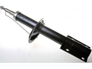 DENCKERMANN DSB016G amortizatorius 
 Pakaba -> Amortizatorius
1317924080, 5202J2, 5202J5, 5208L1