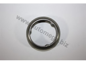 AUTOMEGA 302530137855A tarpiklis, išleidimo kolektorius
855253137A, 855253137A, 855253137A