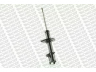 MONROE G16427 amortizatorius 
 Pakaba -> Amortizatorius
C10028700B, C10028900B, CB8028700