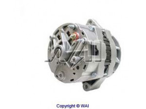 WAIglobal 42787 kintamosios srovės generatorius
3675254RX