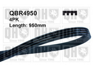 QUINTON HAZELL QBR4950 V formos rumbuoti diržai 
 Techninės priežiūros dalys -> Techninės priežiūros intervalai
91508755, 91536703, 96001123, 31110PD2003