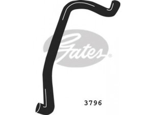 GATES 3796 radiatoriaus žarna
074121051D