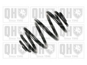 QUINTON HAZELL QCS7989 spyruoklė 
 Pakaba -> Spyruoklės
33 53 6 760 605