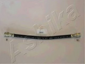 ASHIKA 69-03-350 laikantysis rėmas, stabdžių žarnelė 
 Stabdžių sistema -> Stabdžių žarnelės
D06243810, D06243810B