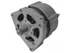 BTS Turbo L610877 kintamosios srovės generatorius
4225119M91, 42498284, 42498427