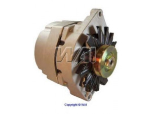 WAIglobal 7134-12N kintamosios srovės generatorius
8133346, 8982775007, JR775007