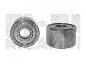 CALIBER 17063 įtempiklio skriemulys, paskirstymo diržas 
 Techninės priežiūros dalys -> Papildomas remontas
92810557100