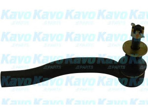 KAVO PARTS STE-9172 skersinės vairo trauklės galas 
 Vairavimas -> Vairo mechanizmo sujungimai
4504649225