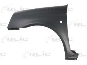 BLIC 6504-04-6032315P sparnas 
 Kėbulas -> Kėbulo dalys/ sparnas/buferis -> Sparnas/montavimo dalys
7701473450