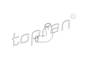 TOPRAN 206 556 žarna, karterio alsuoklis 
 Variklis -> Karteris -> Alsuoklis
56 56 071, 90571474