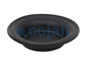 COJALI 6001120 membrana, spyruoklinis cilindras