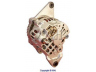 WAIglobal 12630N kintamosios srovės generatorius
8972477180, A007TA2991, 882571