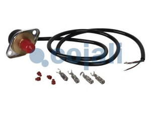 COJALI 2260281 jutiklis
1862895