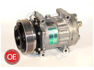 ELECTRO AUTO 20A8073 kompresorius, oro kondicionierius 
 Oro kondicionavimas -> Kompresorius/dalys
7438610031, 7439144039, 7700108413