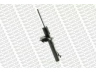 MONROE G16275 amortizatorius 
 Pakaba -> Amortizatorius
1073878, 1073884, 1073885, 1073887
