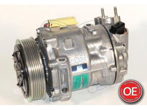 ELECTRO AUTO 20A1317 kompresorius, oro kondicionierius 
 Oro kondicionavimas -> Kompresorius/dalys
6453RG, 6453VF, 9656472480, 9656572680