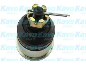 KAVO PARTS SBJ-2012 atramos/vairo trauklė 
 Ašies montavimas/vairavimo mechanizmas/ratai -> Sujungimai -> Atramos/vairo trauklė
51220TA0A01, 51220TA0A02