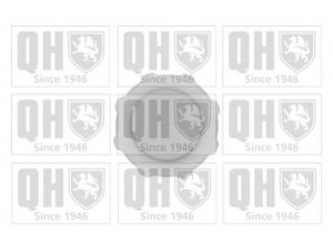 QUINTON HAZELL FC510 dangtelis, radiatorius 
 Aušinimo sistema -> Radiatorius/alyvos aušintuvas -> Išsiplėtimo bakelis, variklio aušinimo skystis
7700805032