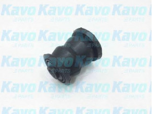 KAVO PARTS SCR-4519 valdymo svirties/išilginių svirčių įvorė 
 Ašies montavimas/vairavimo mechanizmas/ratai -> Valdymo svirtis/pasukamosios svirties sujungimas -> Montavimas/sutvirtinimas
KA1034470A