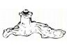 TRISCAN 8600 16867 vandens siurblys 
 Aušinimo sistema -> Vandens siurblys/tarpiklis -> Vandens siurblys
5011846, 5026076, EPW64, PA0242