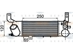 HELLA 8ML 376 756-551 tarpinis suslėgto oro aušintuvas, kompresorius 
 Variklis -> Oro tiekimas -> Įkrovos agregatas (turbo/superįkrova) -> Tarpinis suslėgto oro aušintuvas
RF4P-13-565, RF4P-13-565A
