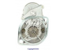 WAIglobal 17099N starteris
3675205RX, 451312, 451718, AM877285
