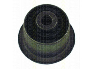 TRISCAN 8500 29819 valdymo svirties/išilginių svirčių įvorė 
 Ašies montavimas/vairavimo mechanizmas/ratai -> Valdymo svirtis/pasukamosios svirties sujungimas -> Montavimas/sutvirtinimas
893 407 181