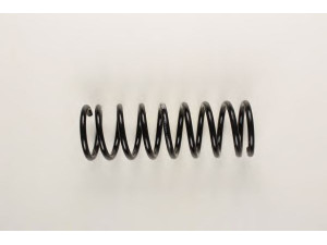 BILSTEIN 36-133093 spyruoklė 
 Pakaba -> Spyruoklės
431 511 115 G