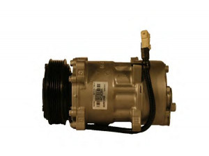 SERCORE 16CA391 kompresorius, oro kondicionierius 
 Oro kondicionavimas -> Kompresorius/dalys
3615001734, 6453P9, 7854, 9614674380