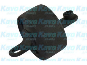 KAVO PARTS SCR-3106 valdymo svirties/išilginių svirčių įvorė 
 Ašies montavimas/vairavimo mechanizmas/ratai -> Valdymo svirtis/pasukamosios svirties sujungimas -> Montavimas/sutvirtinimas
552753R000