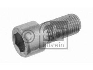 FEBI BILSTEIN 16287 varžtas
06.02099.0211