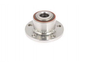 COMLINE CHA045 rato guolio komplektas 
 Ašies montavimas/vairavimo mechanizmas/ratai -> Rato stebulė/montavimas -> Rato guolis
6Q0407621AC, 6Q0407621AJ