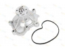 THERMOTEC D1M054TT vandens siurblys 
 Aušinimo sistema -> Vandens siurblys/tarpiklis -> Vandens siurblys
271 200 02 01, 271 200 04 01