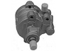 MAPCO 27117 hidraulinis siurblys, vairo sistema 
 Vairavimas -> Vairo pavara/siurblys
7700694136