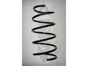 SPIDAN 55090 spyruoklė 
 Pakaba -> Spyruoklės
31 33 1 092 653