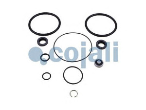 COJALI 6014126 remonto komplektas, greitinimo vožtuvas