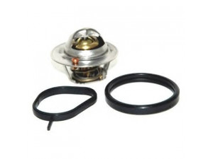 HOFFER 8192627 termostatas, aušinimo skystis 
 Aušinimo sistema -> Termostatas/tarpiklis -> Thermostat
1007754, 1211553, 1303374, 96MM8575A1A