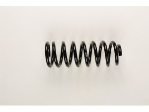 BILSTEIN 36-131129 spyruoklė 
 Pakaba -> Spyruoklės
4A9 511 115 D