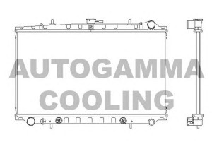 AUTOGAMMA 102208 radiatorius, variklio aušinimas
2141032R00, 2141032R01
