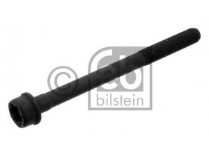 FEBI BILSTEIN 34696 cilindro galvutės varžtas 
 Variklis -> Cilindrų galvutė/dalys -> Cylindrų galvutės varžtas
55192265, 0250.C6, 250.C6, 55192265