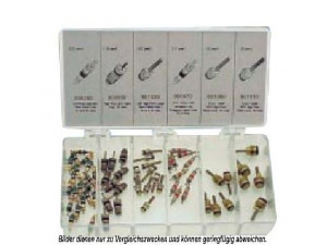 AKS DASIS 900960N asortimentas, vožtuvai