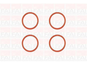 FAI AutoParts IM1185 tarpiklių rinkinys, įsiurbimo kolektorius 
 Variklis -> Cilindrų galvutė/dalys -> Įsiurbimo kolektoriaus tarpiklis/sandarinimo žiedas