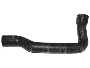 FARE SA 7769 radiatoriaus žarna 
 Aušinimo sistema -> Žarnelės/vamzdeliai/sujungimai -> Radiatoriaus žarnos
95638396